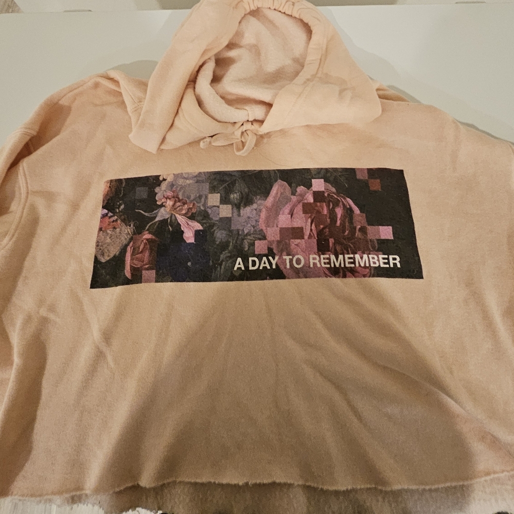 Small Pink Crop Hoodie (ADTR)